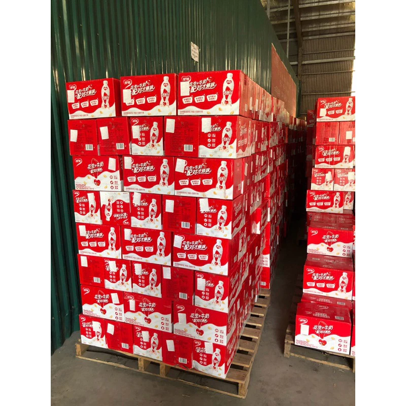 Sữa lạc Trung Quốc YINLU 450ml